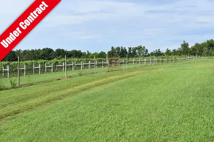Charming Vineyard & Acreage in Southern Virginia Wine Region